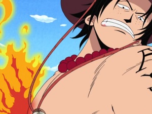 Voador  Ace and luffy, One piece ace, One piece luffy